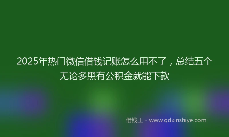 2025年热门微信借钱记账怎么用不了，总结五个无论多黑有公积金就能下款
