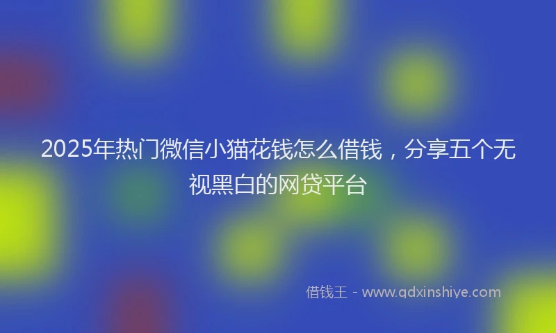 2025年热门微信小猫花钱怎么借钱，分享五个无视黑白的网贷平台