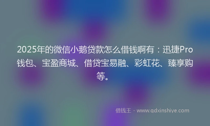 2025年的微信小鹅贷款怎么借钱啊有：迅捷Pro钱包、宝盈商城、借贷宝易融、彩虹花、臻享购等。