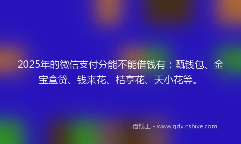 2025年的微信支付分能不能借钱有：甄钱包、金宝盒贷、钱来花、桔享花、天小花等。