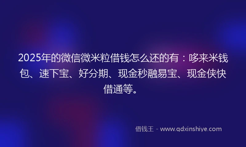 2025年的微信微米粒借钱怎么还的有：哆来米钱包、速下宝、好分期、现金秒融易宝、现金侠快借通等。