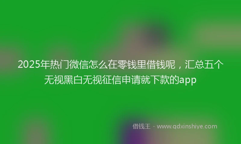2025年热门微信怎么在零钱里借钱呢，汇总五个无视黑白无视征信申请就下款的app