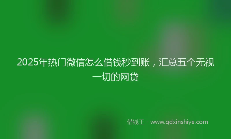 2025年热门微信怎么借钱秒到账，汇总五个无视一切的网贷