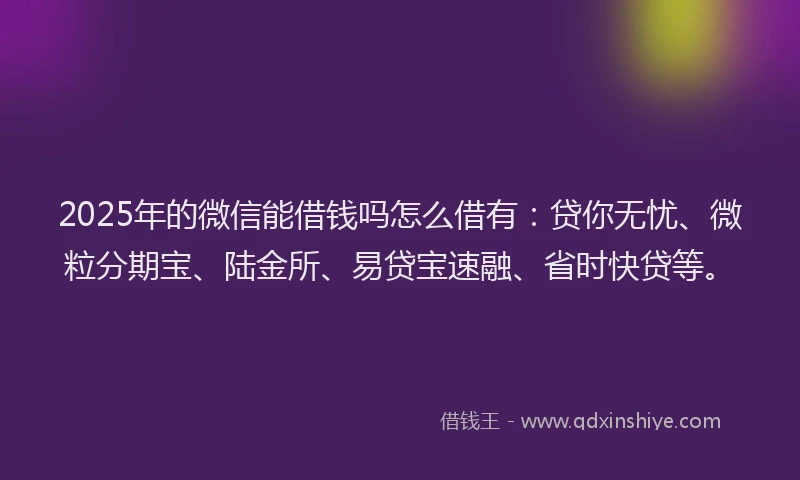 2025年的微信能借钱吗怎么借有：贷你无忧、微粒分期宝、陆金所、易贷宝速融、省时快贷等。