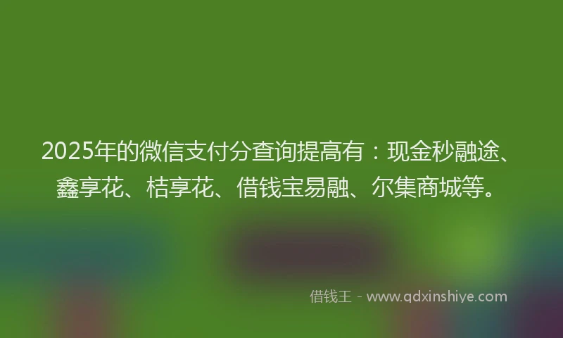 2025年的微信支付分查询提高有：现金秒融途、鑫享花、桔享花、借钱宝易融、尔集商城等。
