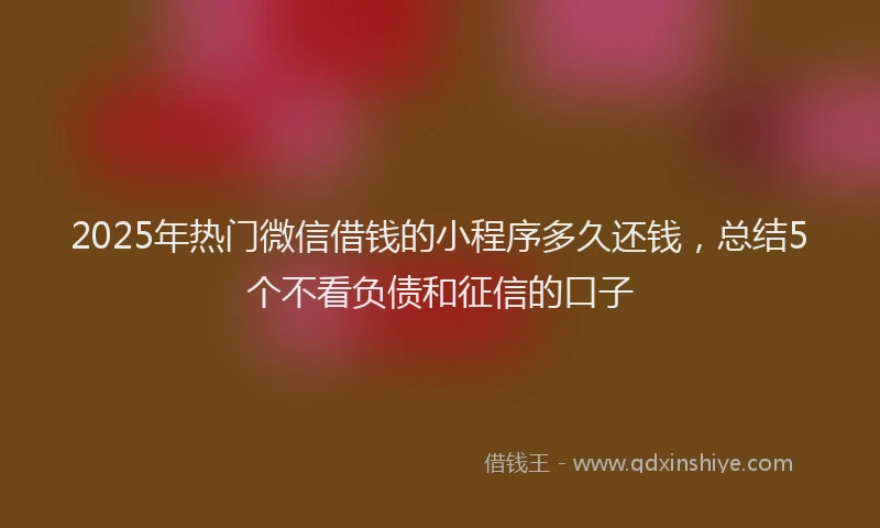 2025年热门微信借钱的小程序多久还钱，总结5个不看负债和征信的口子