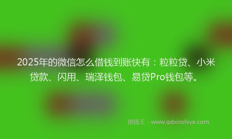 2025年的微信怎么借钱到账快有：粒粒贷、小米贷款、闪用、瑞泽钱包、易贷Pro钱包等。