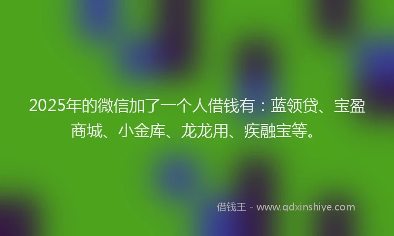 2025年的微信加了一个人借钱有：蓝领贷、宝盈商城、小金库、龙龙用、疾融宝等。