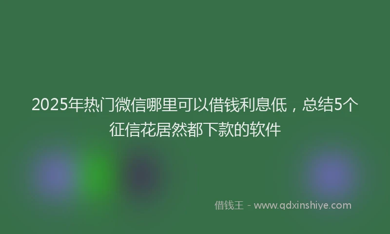 2025年热门微信哪里可以借钱利息低，总结5个征信花居然都下款的软件