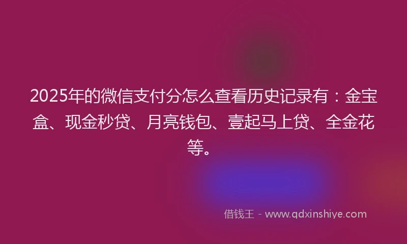 2025年的微信支付分怎么查看历史记录有：金宝盒、现金秒贷、月亮钱包、壹起马上贷、全金花等。
