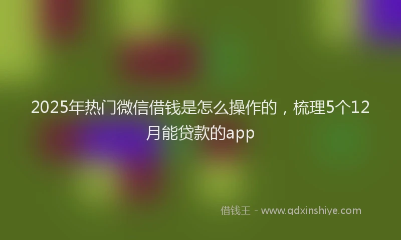 2025年热门微信借钱是怎么操作的，梳理5个12月能贷款的app