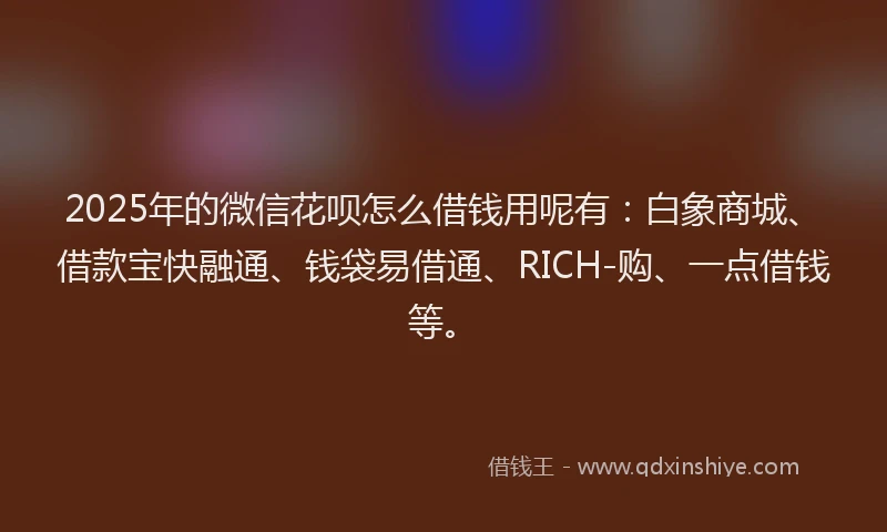2025年的微信花呗怎么借钱用呢有：白象商城、借款宝快融通、钱袋易借通、RICH-购、一点借钱等。
