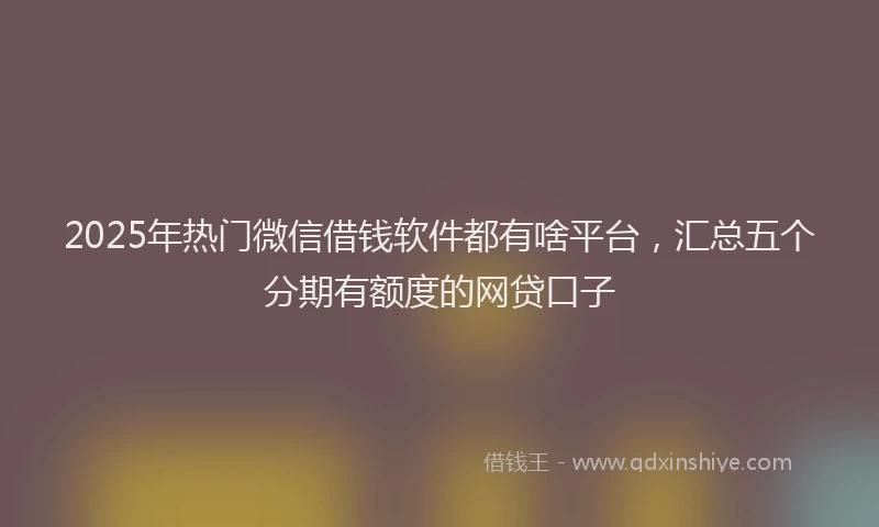2025年热门微信借钱软件都有啥平台，汇总五个分期有额度的网贷口子