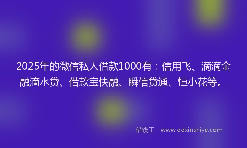 2025年的微信私人借款1000有：信用飞、滴滴金融滴水贷、借款宝快融、瞬信贷通、恒小花等。