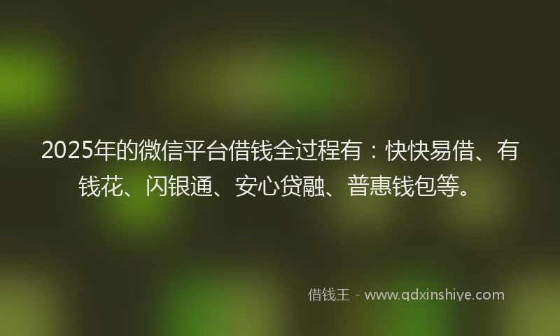 2025年的微信平台借钱全过程有：快快易借、有钱花、闪银通、安心贷融、普惠钱包等。