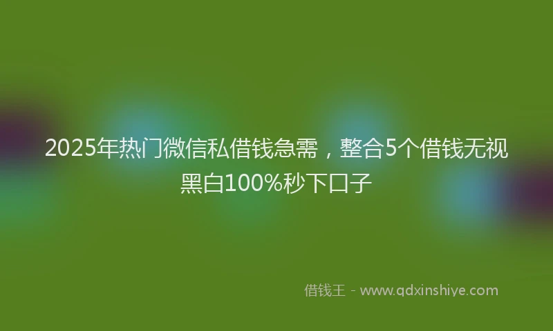 2025年热门微信私借钱急需，整合5个借钱无视黑白100%秒下口子