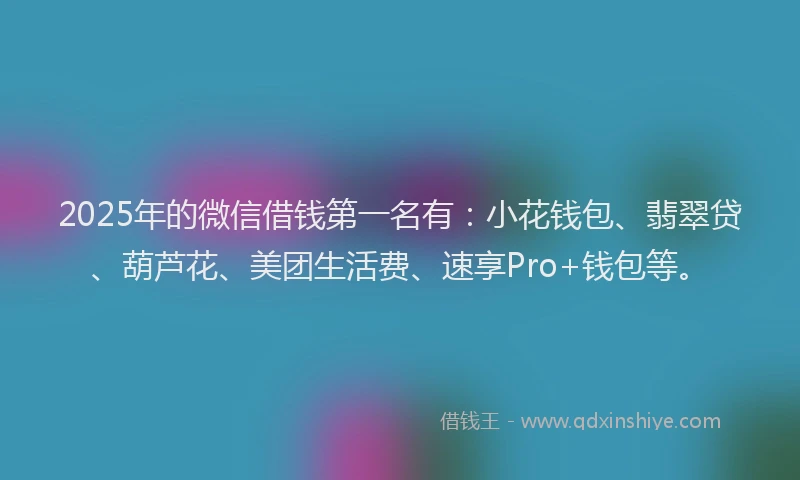 2025年的微信借钱第一名有：小花钱包、翡翠贷、葫芦花、美团生活费、速享Pro+钱包等。