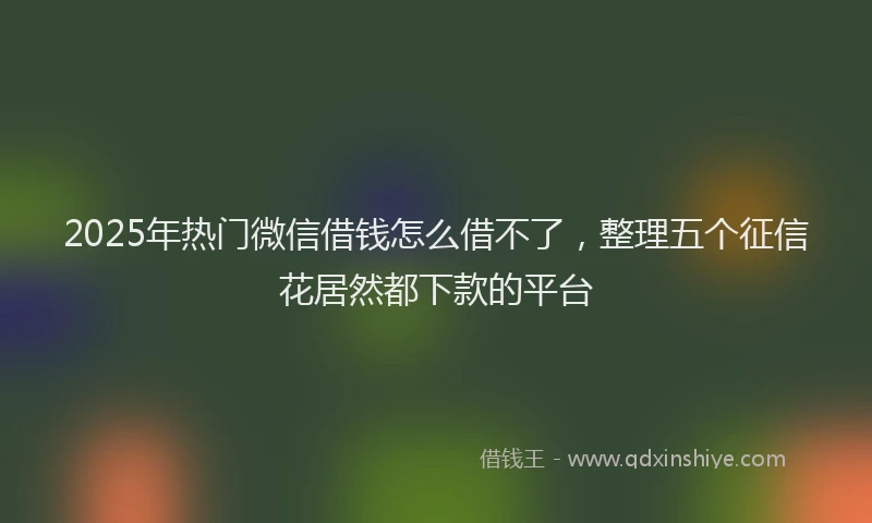2025年热门微信借钱怎么借不了，整理五个征信花居然都下款的平台
