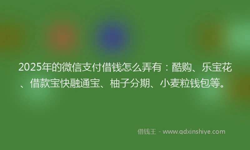 2025年的微信支付借钱怎么弄有：酷购、乐宝花、借款宝快融通宝、柚子分期、小麦粒钱包等。