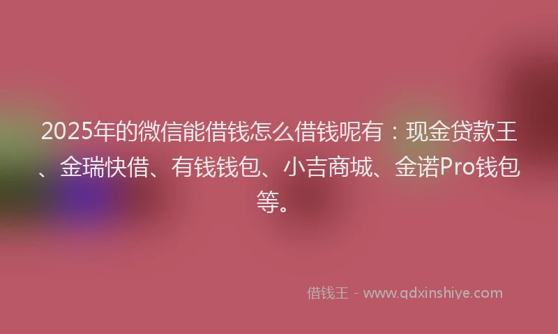 2025年的微信能借钱怎么借钱呢有：现金贷款王、金瑞快借、有钱钱包、小吉商城、金诺Pro钱包等。