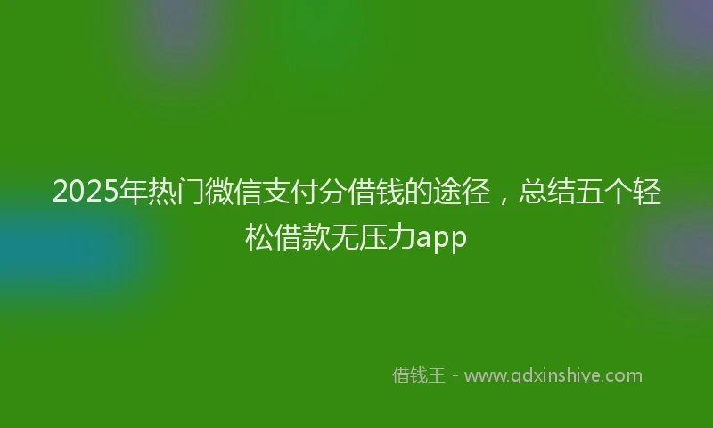 2025年热门微信支付分借钱的途径，总结五个轻松借款无压力app