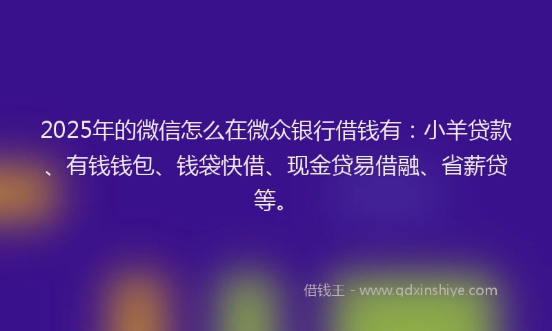 2025年的微信怎么在微众银行借钱有：小羊贷款、有钱钱包、钱袋快借、现金贷易借融、省薪贷等。