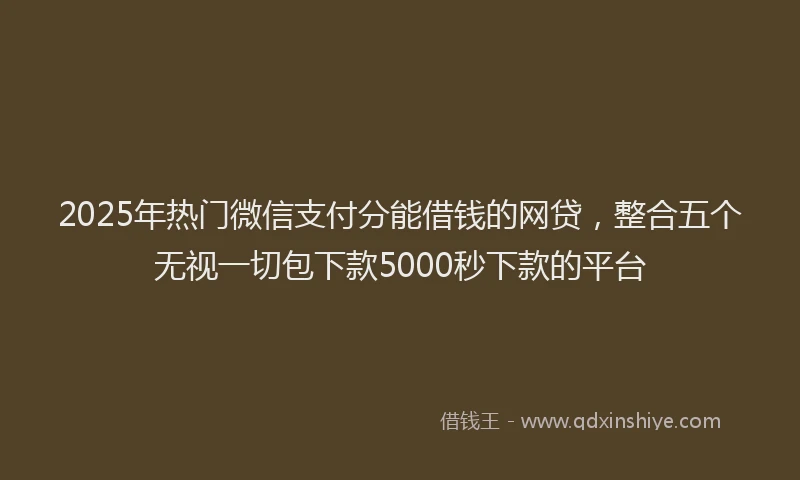 2025年热门微信支付分能借钱的网贷，整合五个无视一切包下款5000秒下款的平台