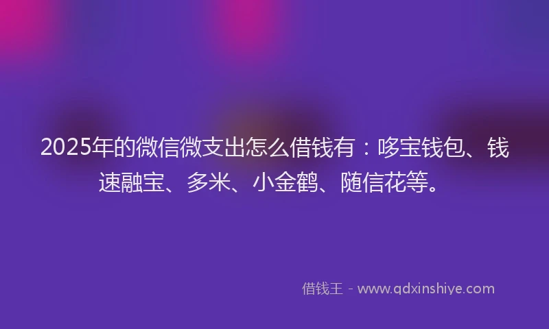2025年的微信微支出怎么借钱有：哆宝钱包、钱速融宝、多米、小金鹤、随信花等。