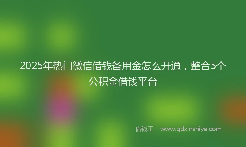 2025年热门微信借钱备用金怎么开通，整合5个公积金借钱平台