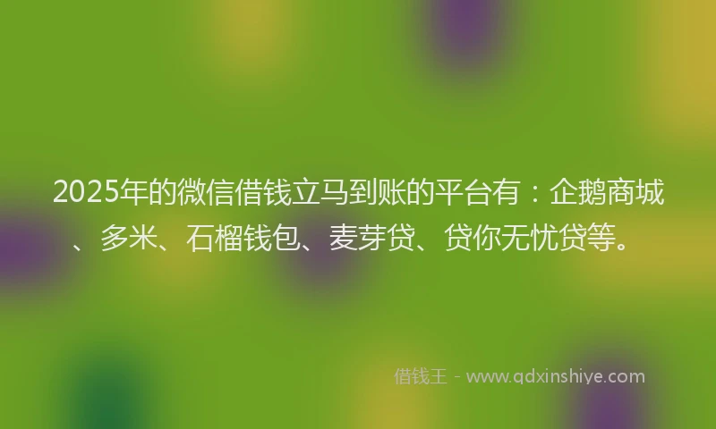 2025年的微信借钱立马到账的平台有：企鹅商城、多米、石榴钱包、麦芽贷、贷你无忧贷等。