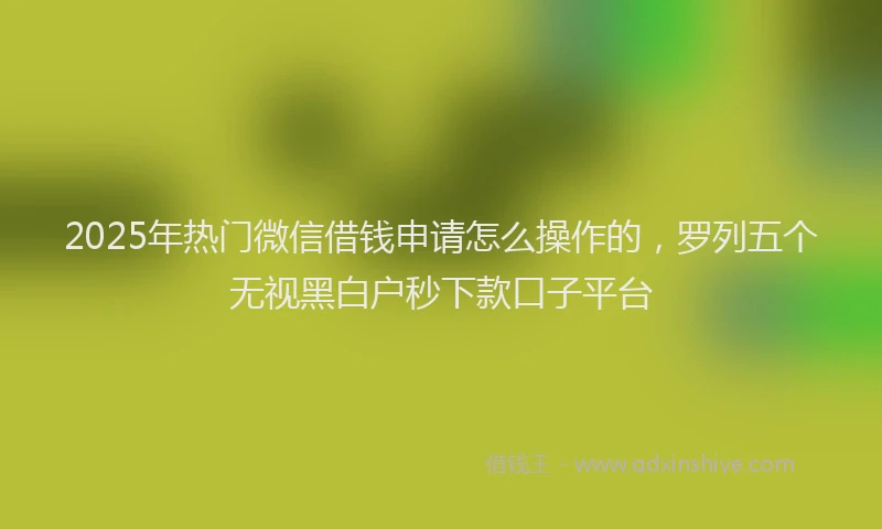 2025年热门微信借钱申请怎么操作的，罗列五个无视黑白户秒下款口子平台