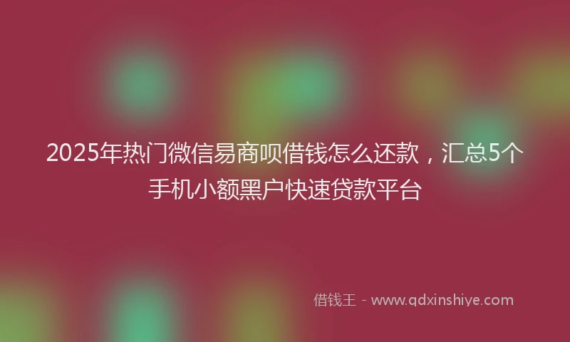 2025年热门微信易商呗借钱怎么还款，汇总5个手机小额黑户快速贷款平台