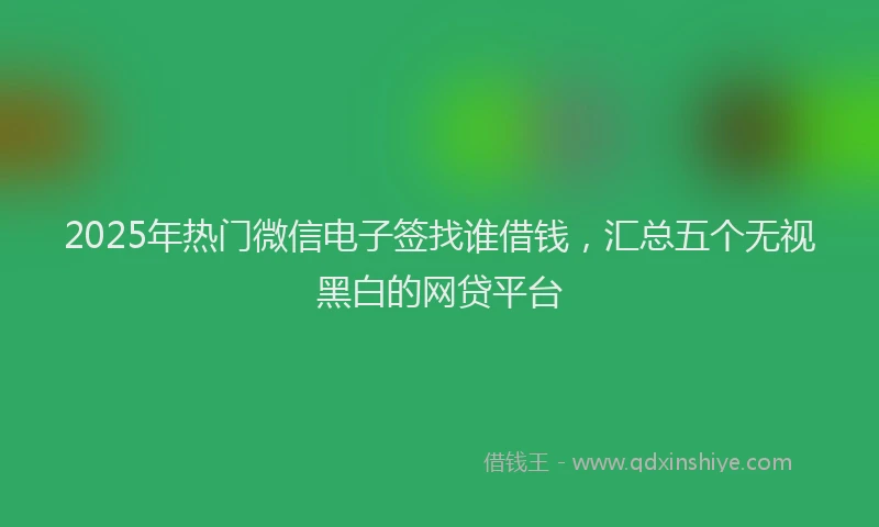 2025年热门微信电子签找谁借钱，汇总五个无视黑白的网贷平台