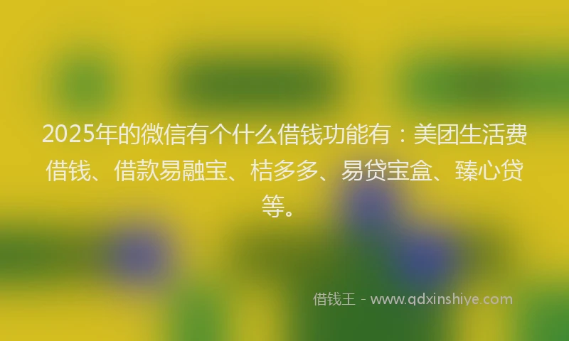 2025年的微信有个什么借钱功能有：美团生活费借钱、借款易融宝、桔多多、易贷宝盒、臻心贷等。