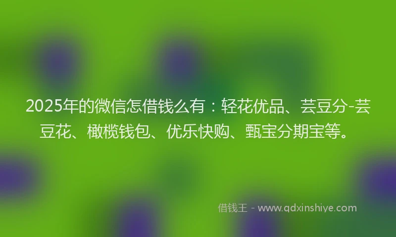 2025年的微信怎借钱么有：轻花优品、芸豆分-芸豆花、橄榄钱包、优乐快购、甄宝分期宝等。