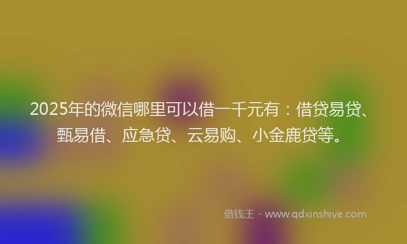 2025年的微信哪里可以借一千元有：借贷易贷、甄易借、应急贷、云易购、小金鹿贷等。