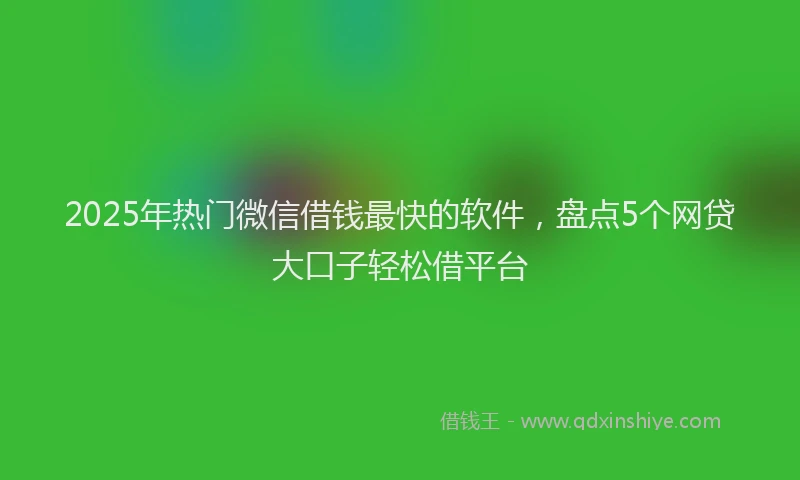 2025年热门微信借钱最快的软件，盘点5个网贷大口子轻松借平台