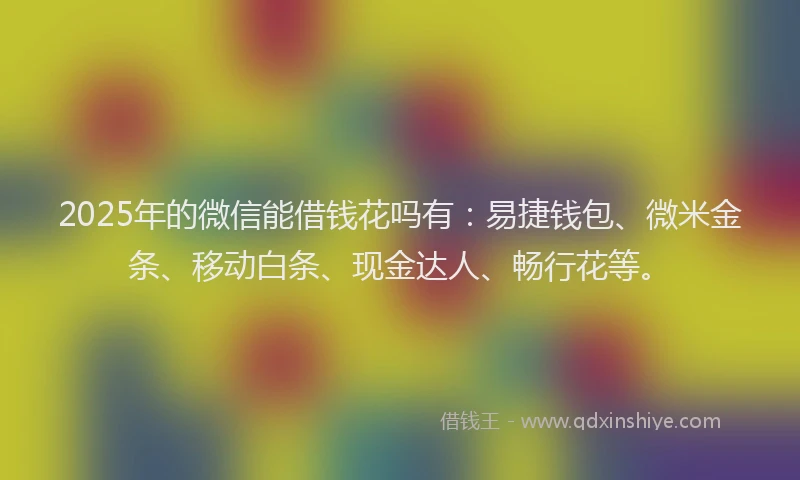 2025年的微信能借钱花吗有：易捷钱包、微米金条、移动白条、现金达人、畅行花等。