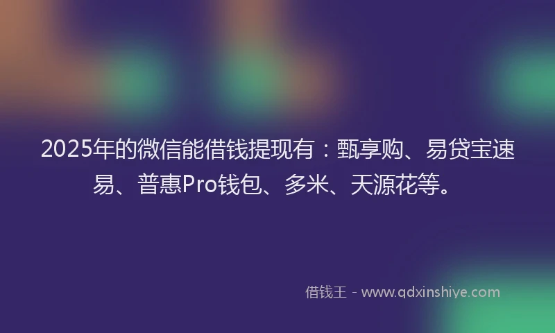 2025年的微信能借钱提现有：甄享购、易贷宝速易、普惠Pro钱包、多米、天源花等。