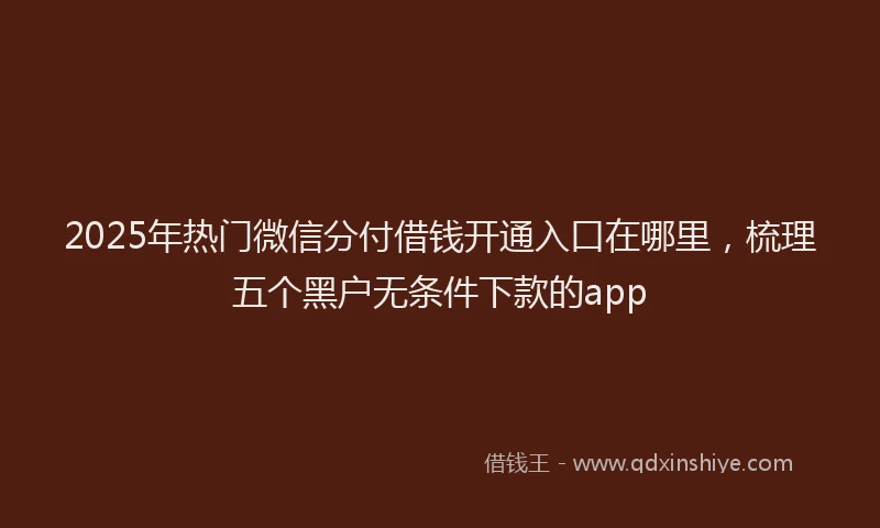 2025年热门微信分付借钱开通入口在哪里，梳理五个黑户无条件下款的app