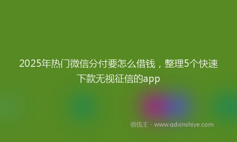 2025年热门微信分付要怎么借钱，整理5个快速下款无视征信的app