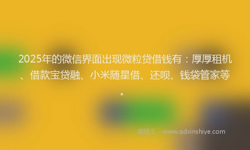 2025年的微信界面出现微粒贷借钱有：厚厚租机、借款宝贷融、小米随星借、还呗、钱袋管家等。
