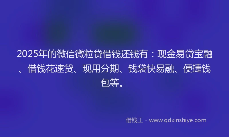 2025年的微信微粒贷借钱还钱有：现金易贷宝融、借钱花速贷、现用分期、钱袋快易融、便捷钱包等。