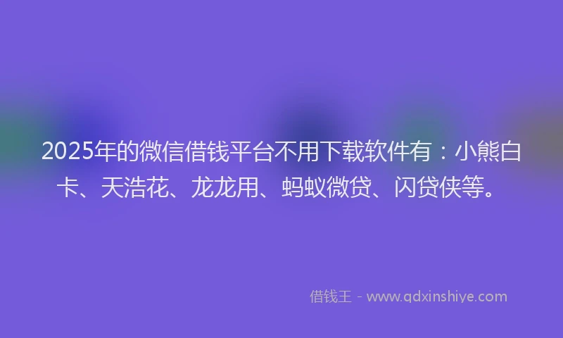 2025年的微信借钱平台不用下载软件有：小熊白卡、天浩花、龙龙用、蚂蚁微贷、闪贷侠等。