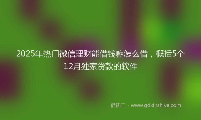 2025年热门微信理财能借钱嘛怎么借，概括5个12月独家贷款的软件