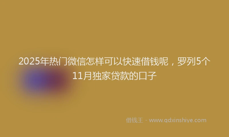 2025年热门微信怎样可以快速借钱呢，罗列5个11月独家贷款的口子