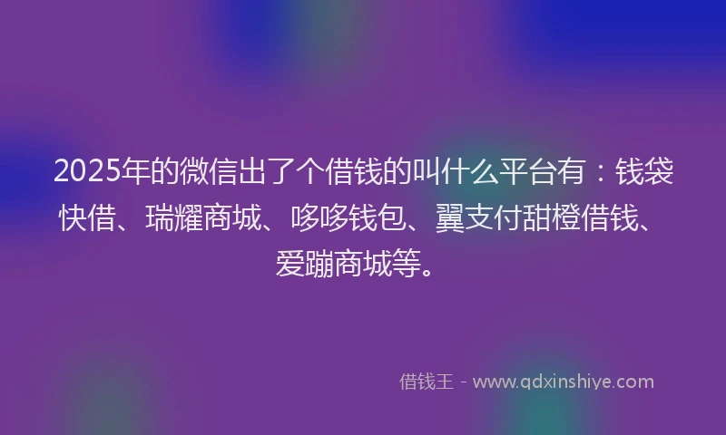2025年的微信出了个借钱的叫什么平台有：钱袋快借、瑞耀商城、哆哆钱包、翼支付甜橙借钱、爱蹦商城等。
