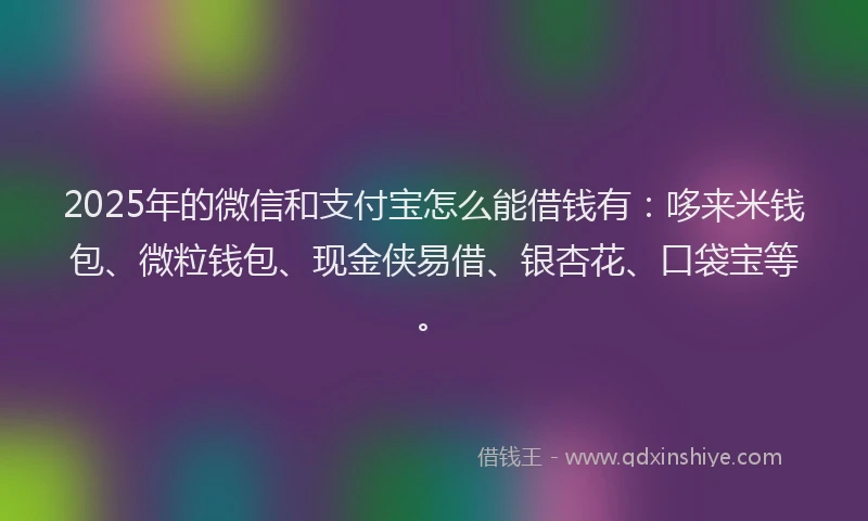 2025年的微信和支付宝怎么能借钱有：哆来米钱包、微粒钱包、现金侠易借、银杏花、口袋宝等。