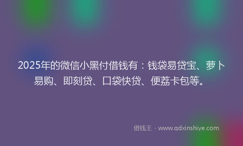 2025年的微信小黑付借钱有：钱袋易贷宝、萝卜易购、即刻贷、口袋快贷、便荔卡包等。
