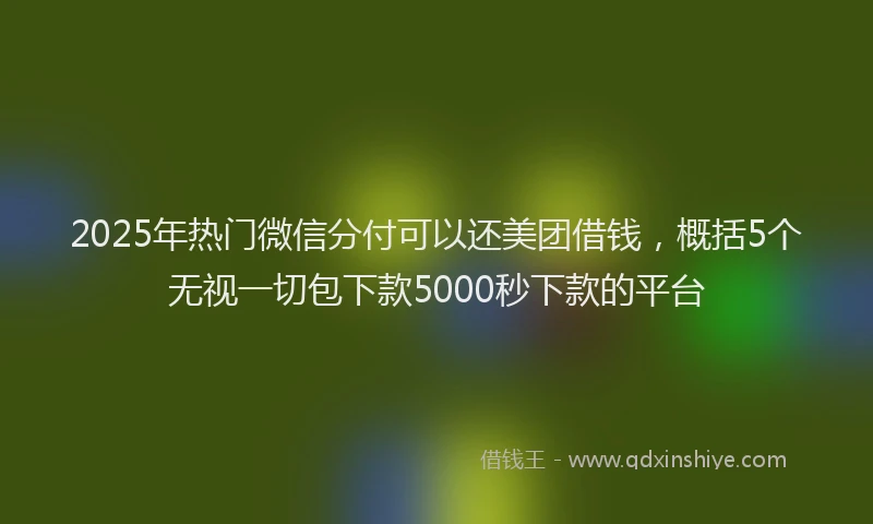 2025年热门微信分付可以还美团借钱，概括5个无视一切包下款5000秒下款的平台